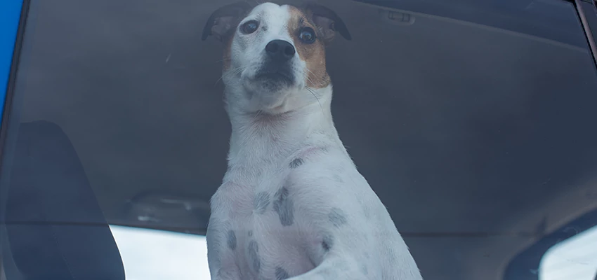 Car Lockout Solutions in Cameron Park, California